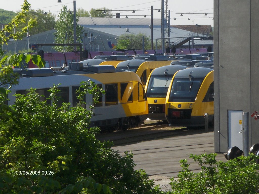 Mange tog i tomgang by Lau Gerdes