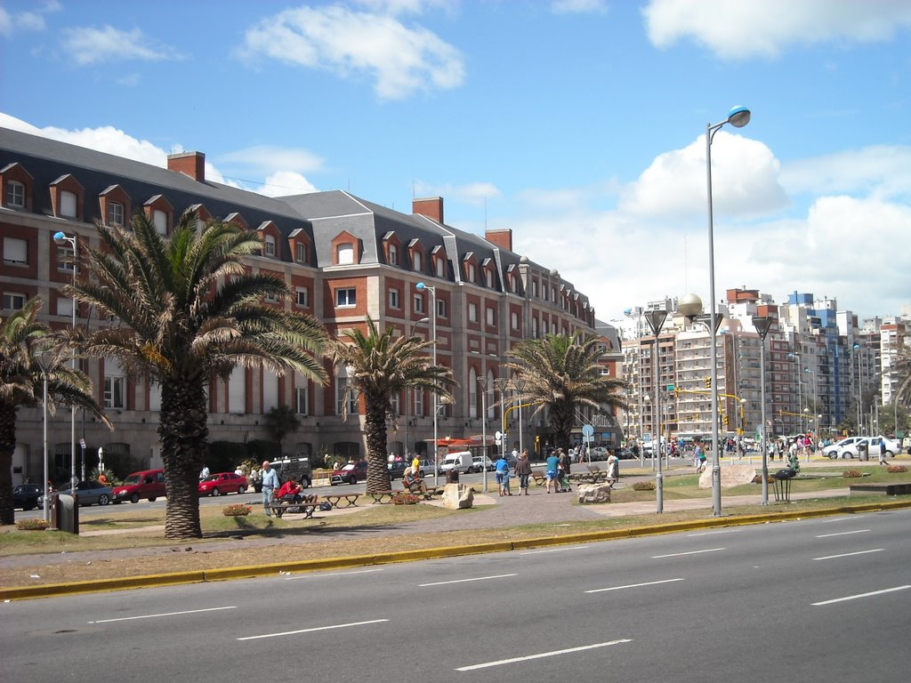 Palmeras en la plaza de las Provincias 2 by Matha Burroughs