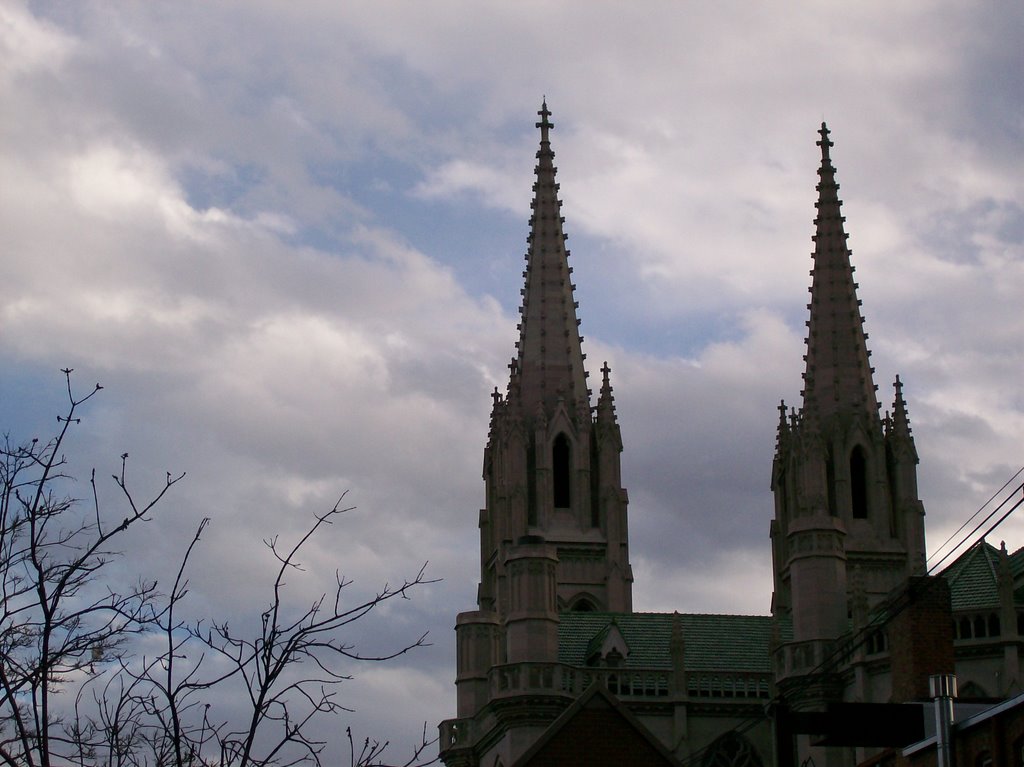 Cathedral of the Immaculate Conception by nixdave