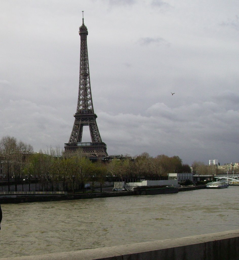 Tour Eiffel by maggi22