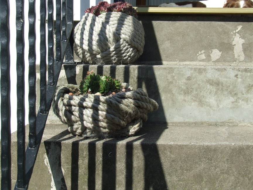 Turks Heads Planters by bridgeman14