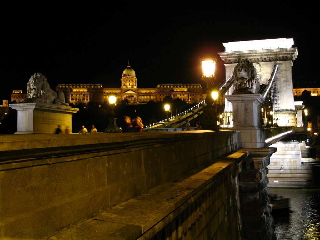 Castle by night by Lubo Kriz