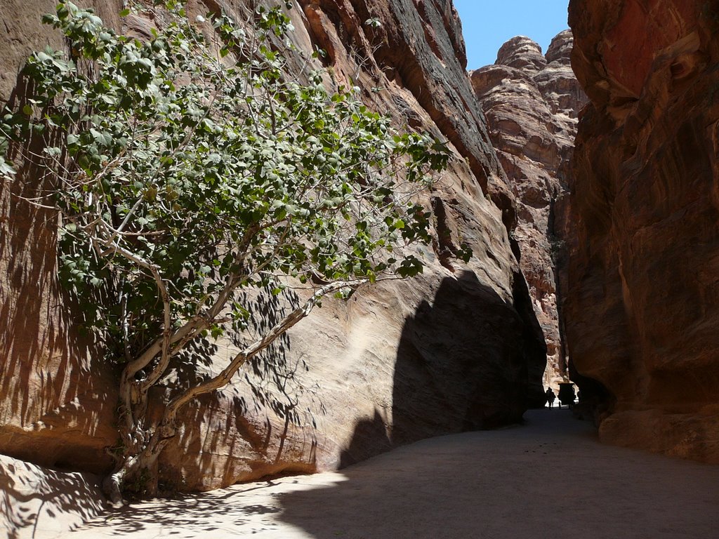 Walk to the Treasury of Pretra by Harry Juselius