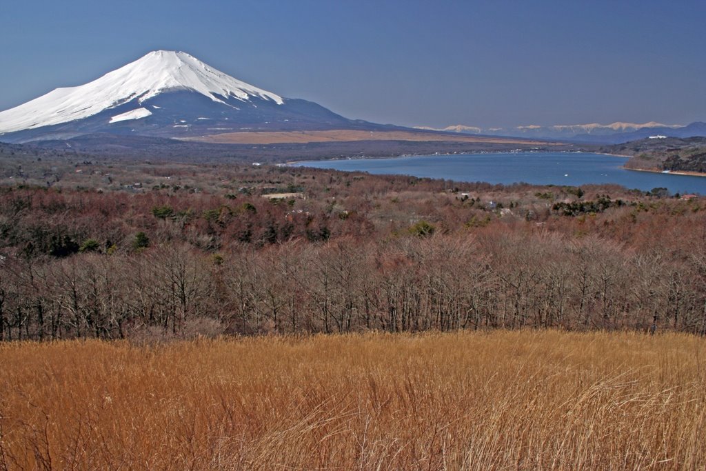 Mt. Fuji and Lake Yamkanaka by Tomo Satoshy