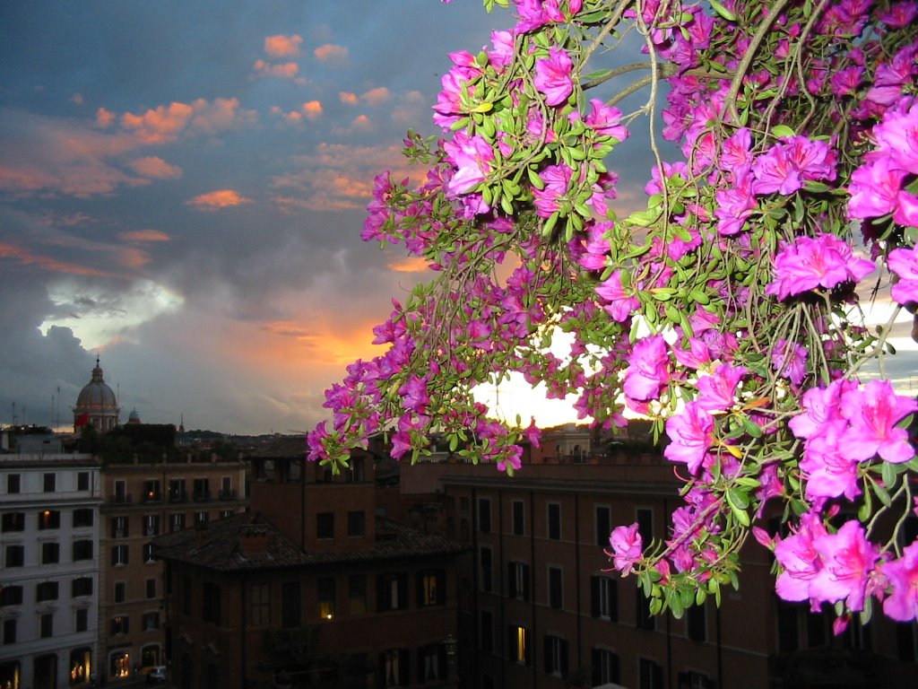 Roma piazza di spagna by gil zanardi