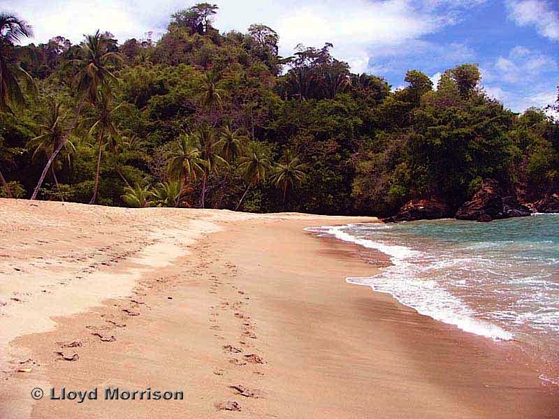 Englishman's Bay Beach by AdventureTravelWW