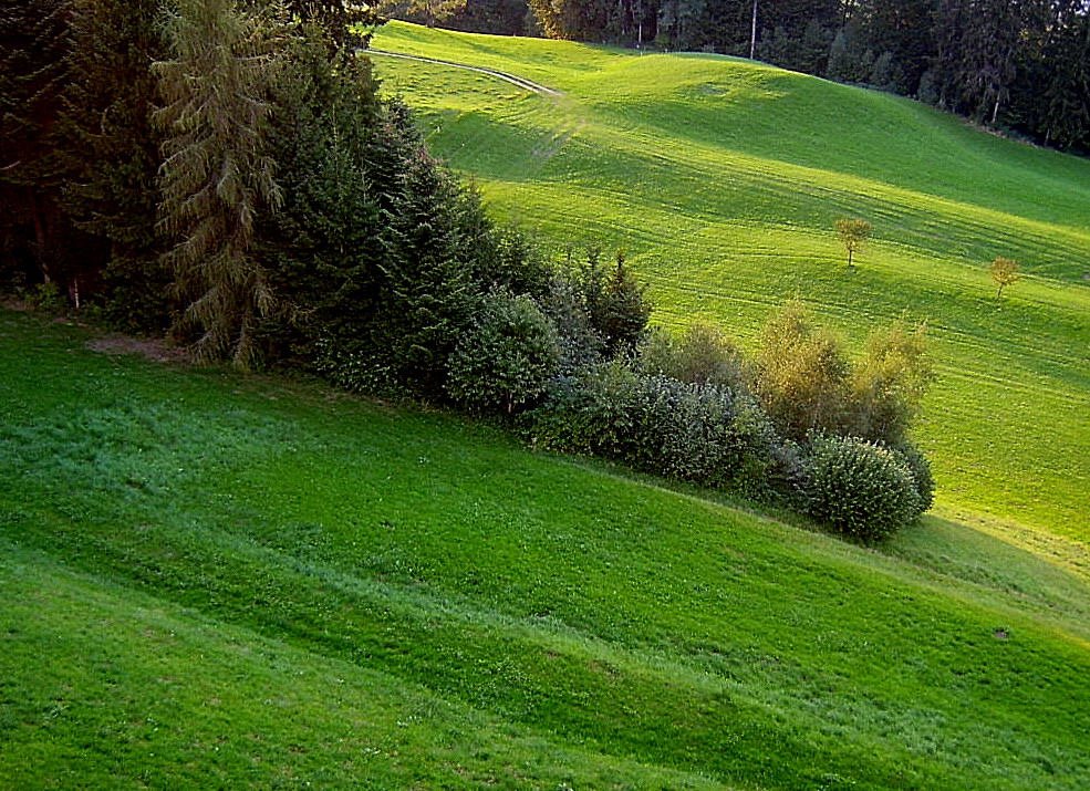 Voralpine Landschaft by Dieter Holliger