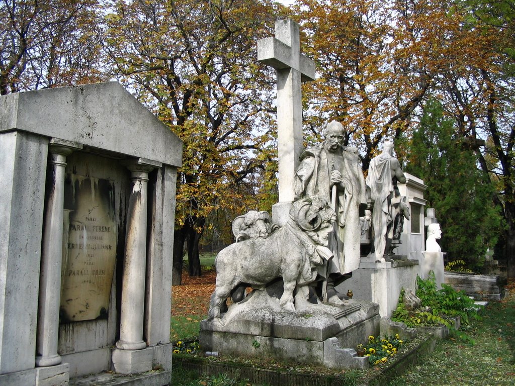 Grave by magyard