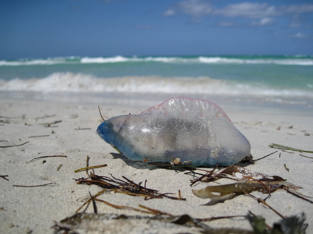 Varadero, Cuba by Egor Mihtanuk