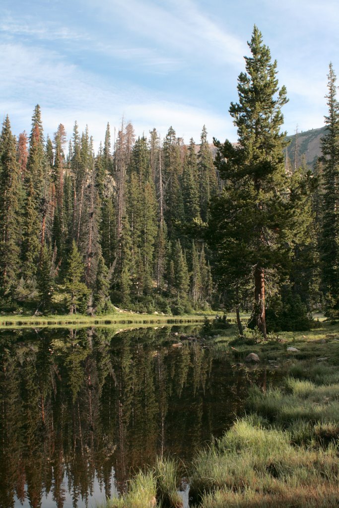 Summit County, UT, USA by aplast