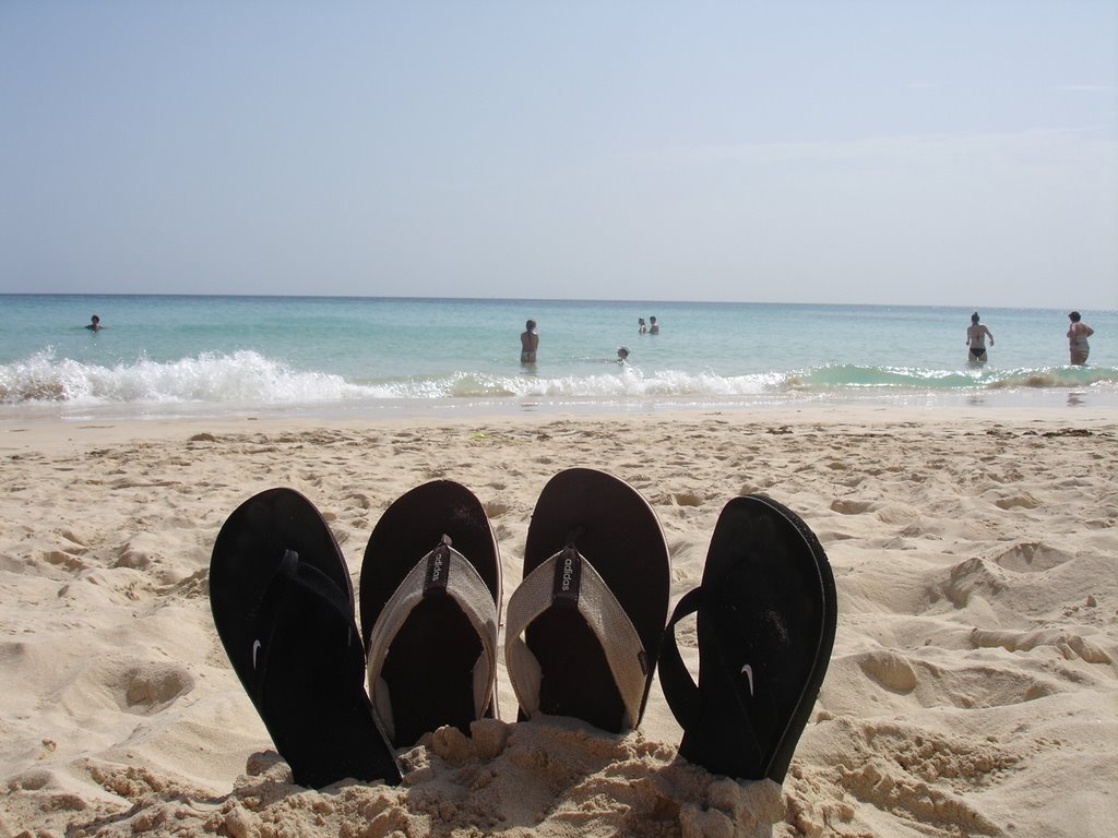 Corralejo beach in Fuerteventura by Paulo Correia