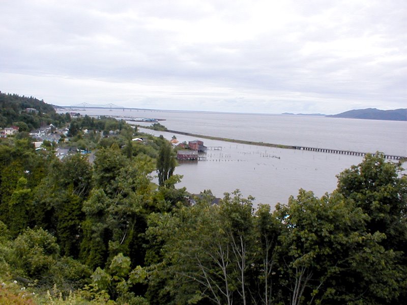 Astoria from the Crest Motel by Sheryl Todd (tapirgal)