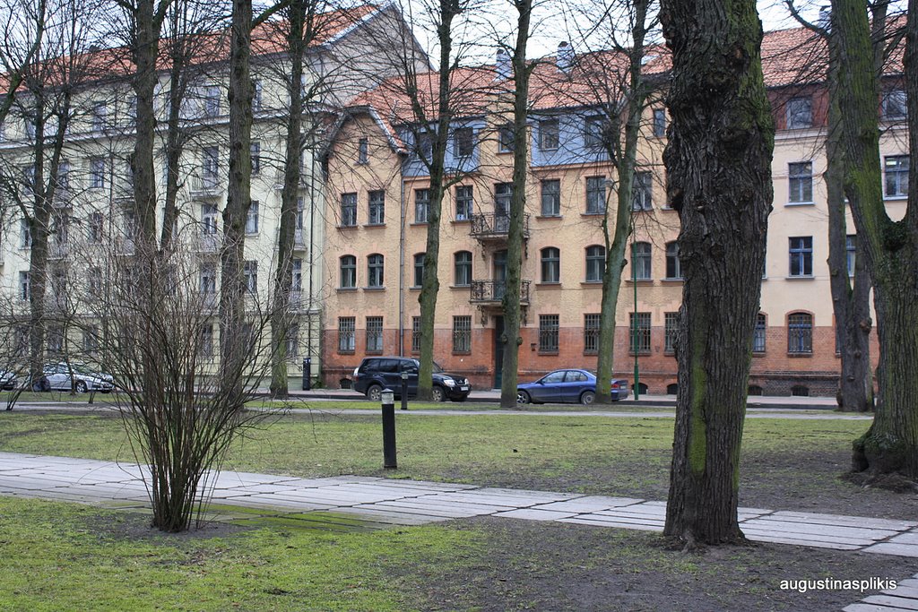 Liepu street,Klaipeda by augustinasplikis