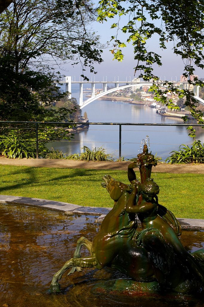 Jardin Palacio de Cristal, Oporto, Portugal by Antonio Alba