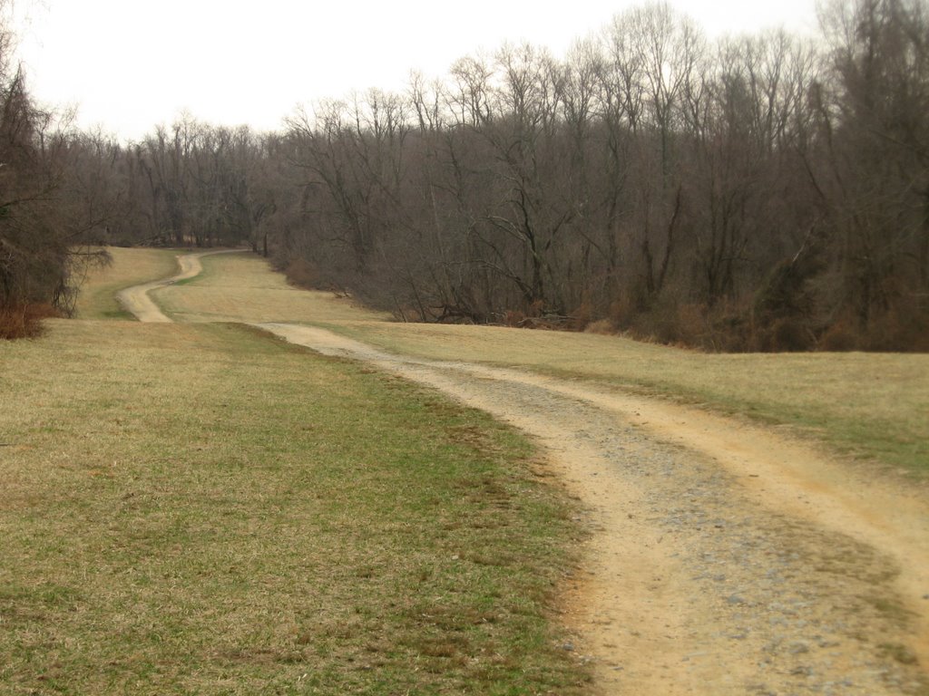 Elk Neck State Park Blue Trail by Chris Sanfino