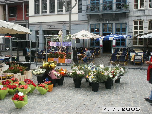 Feira de flores praça de mons by mirtesfp