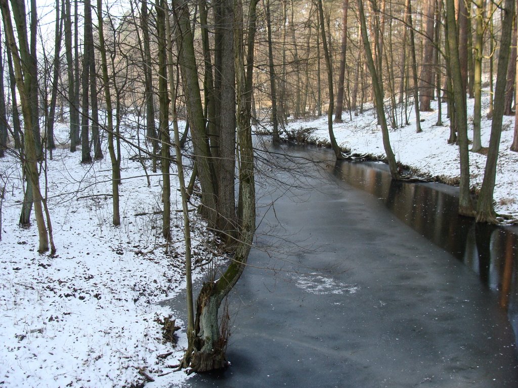 Kanał Zbiczno-Strażym by Uuumberto