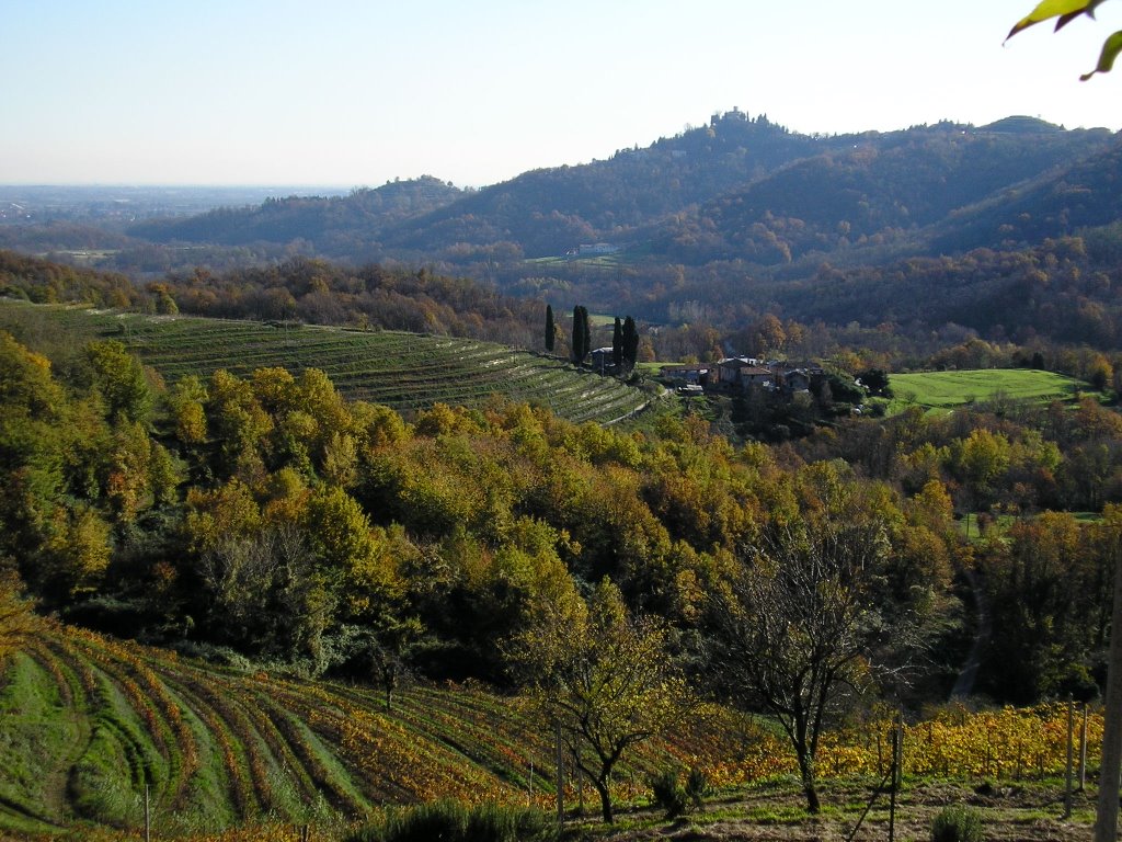 Valle del Curone, prati magri by Stefano Dell'Orto