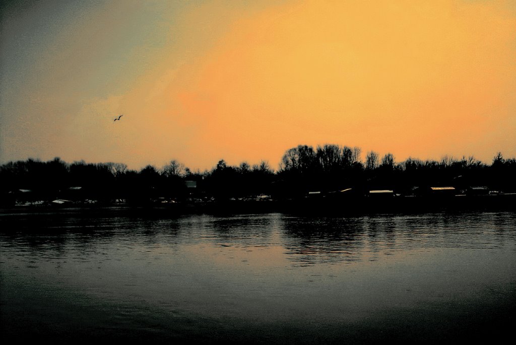 BLACK AND....ORANGE REFLECTION - SAVA RIVER by Maja Go