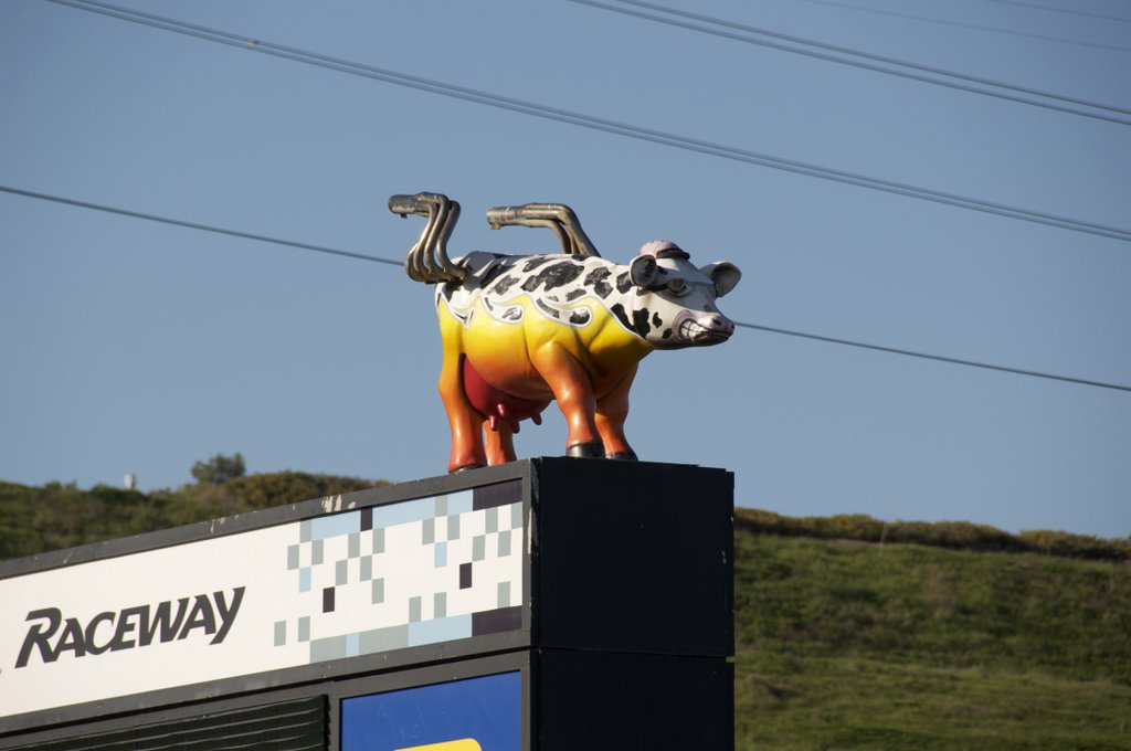 Sears Point - Infineon Raceway by NateG