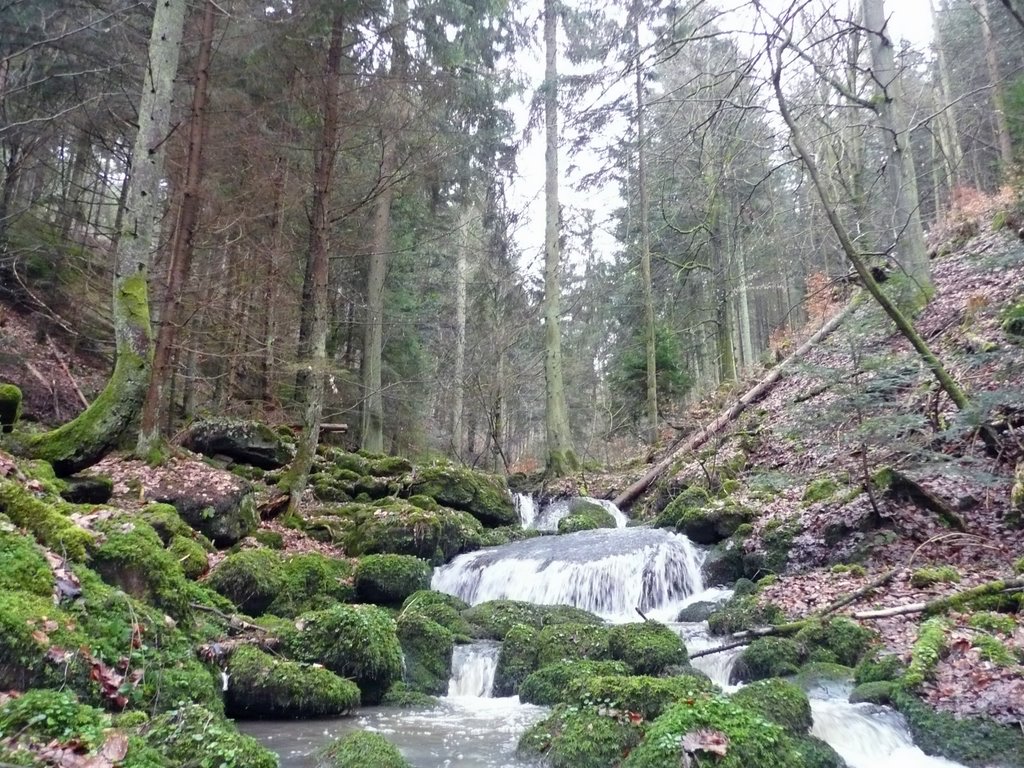 Wolfsschlucht bei Ernstmühl, Calw-Hirsau by Qwesy