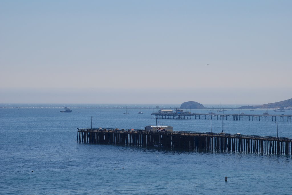 Avila Beach by moo7428