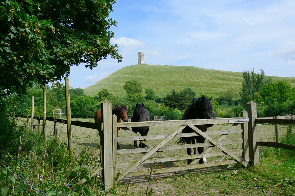 Glastonbury Tor, Somerset by Peter Birch