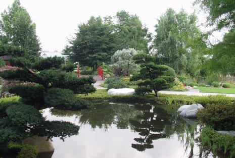 Rain, Dehner Blumen Park by Adalbert Riehl