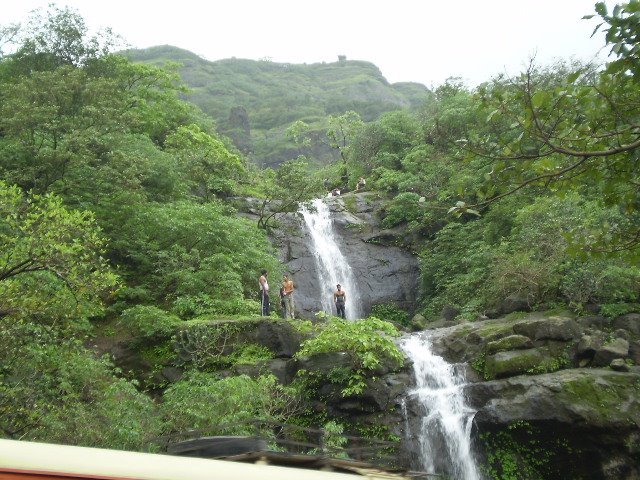 Malshej Ghat by Yogesh Gupta