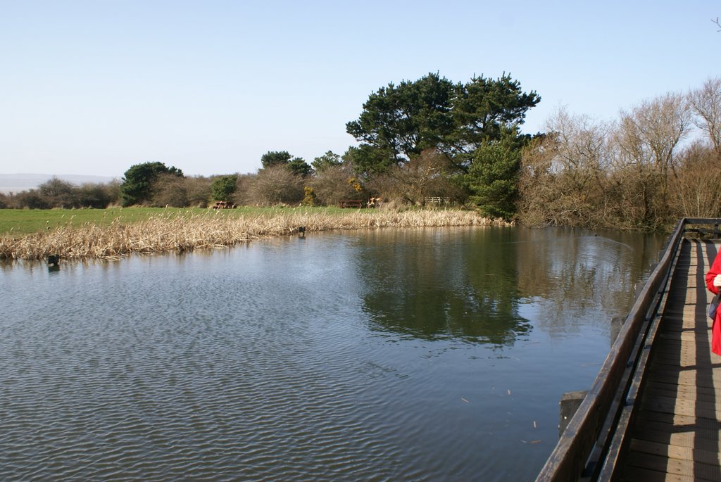 The pond at the Country Park, Thurstaston by Bigdutchman