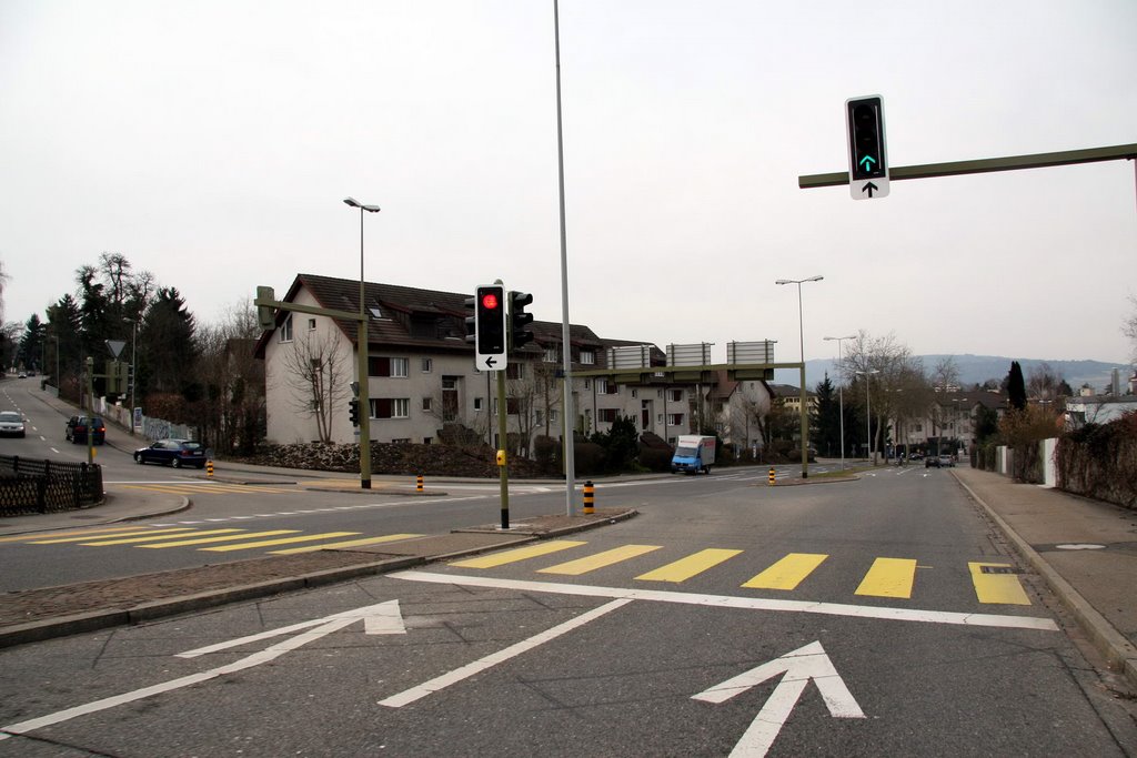 Kreuzung Hönggerstrasse Weiningerstrasse by vodua