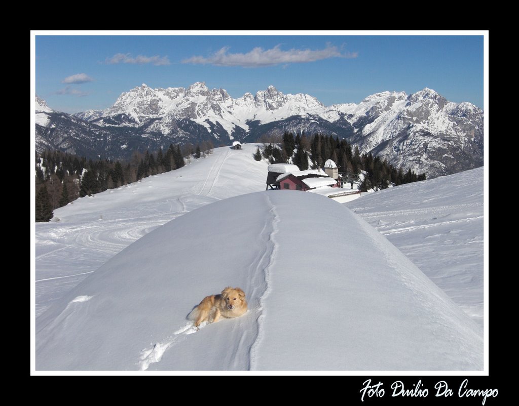 13.03.09: "Sul quert del ... stalon" (malga Losch). by Duilio Da Campo