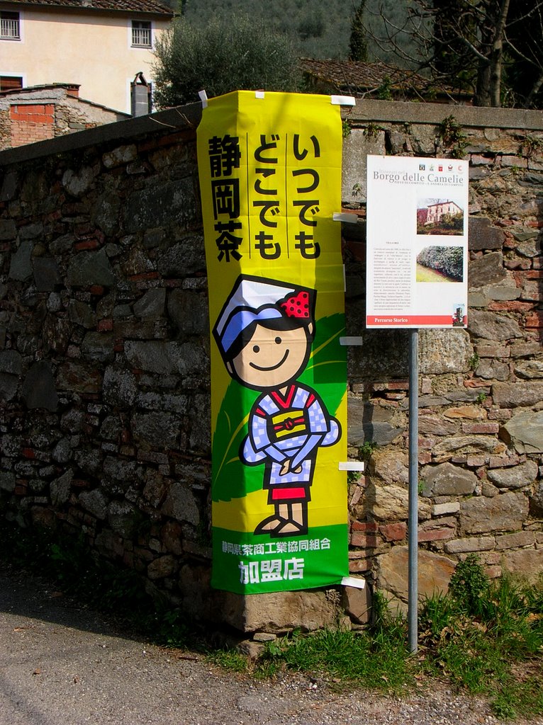 Shizuoka Tea at Villa Orsi by titlan