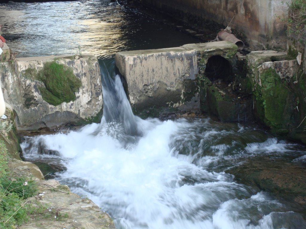 Alcoa river - Alcobaça - Portugal by Luis Heitor