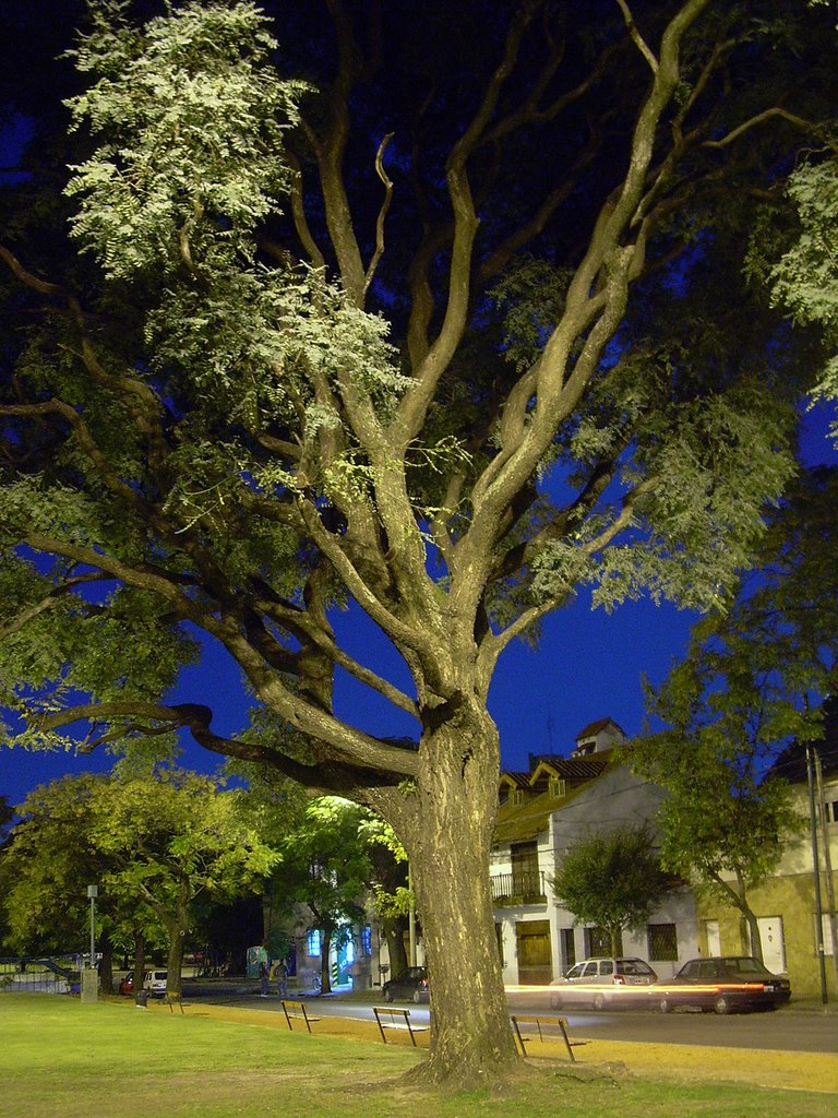 Saavedra, Autonomous City of Buenos Aires, Argentina by Reynald.d.Chatillon