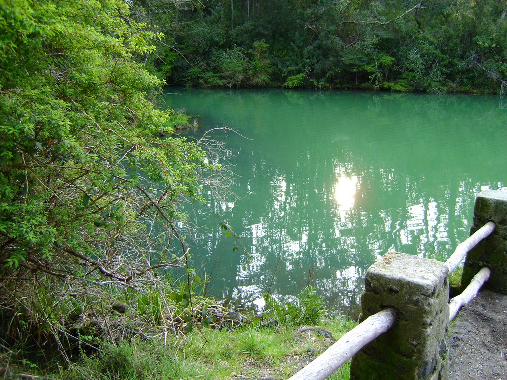 Puerto Varas, X Región, Chile by veronica greve