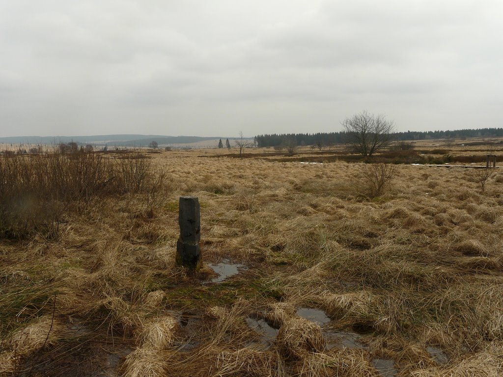 Les Fagnes by Rudy Pické