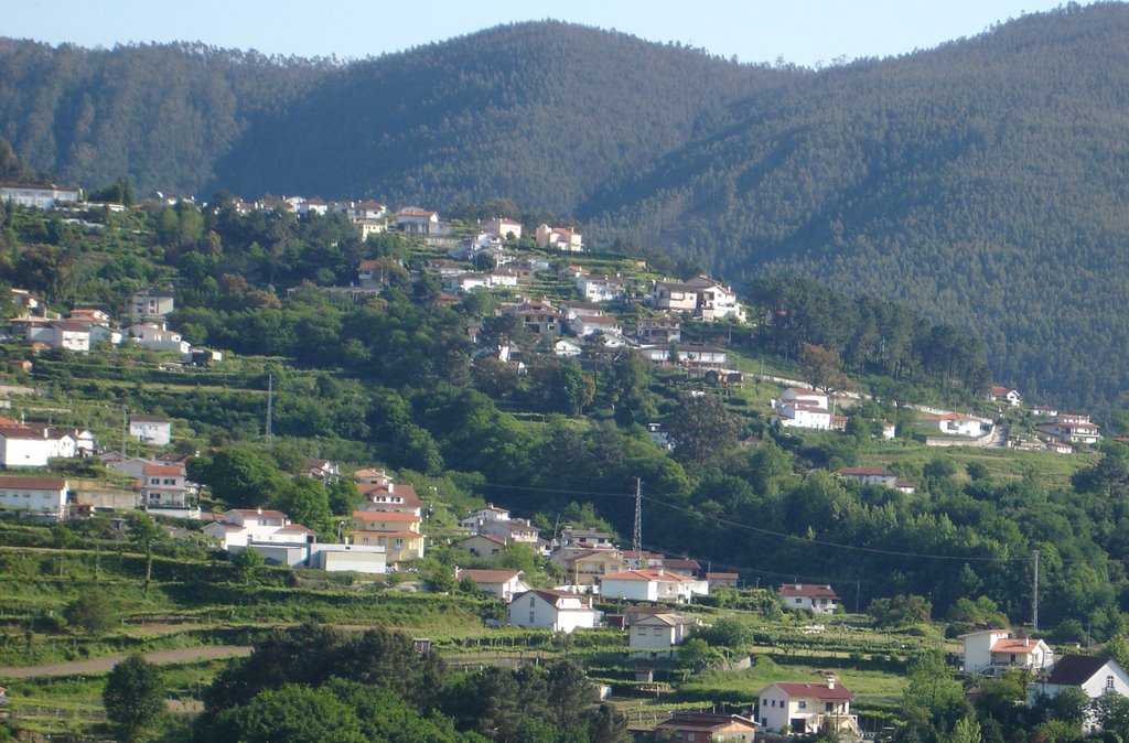 Vista da Formiga-Vale de Cambra by Alvaleida