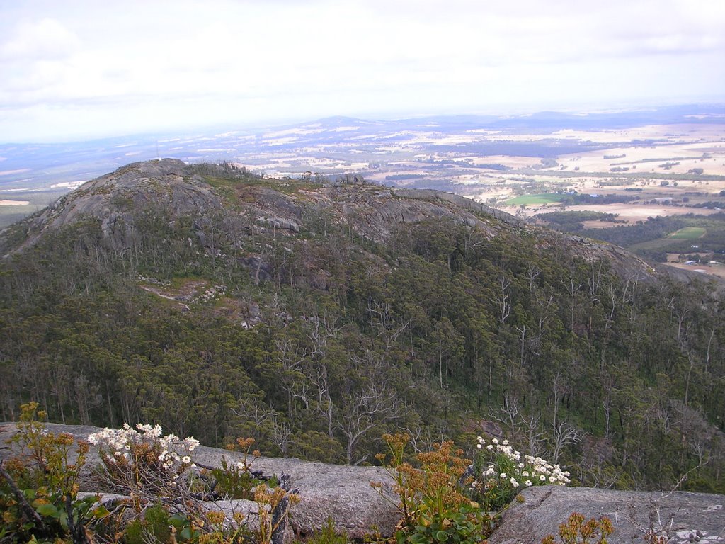 Everlastings on Top of Devil Slide by sugarbag1