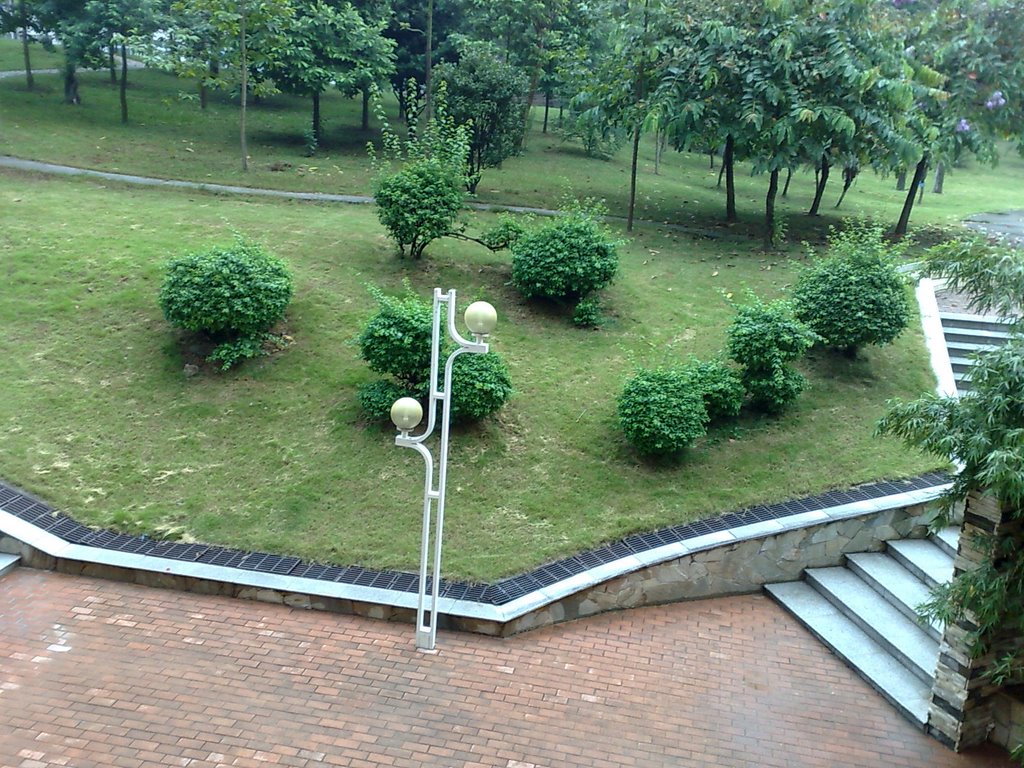 Lawn seen from the 3th classroom building of SCAU by 雨丝风片 by ytmsgj