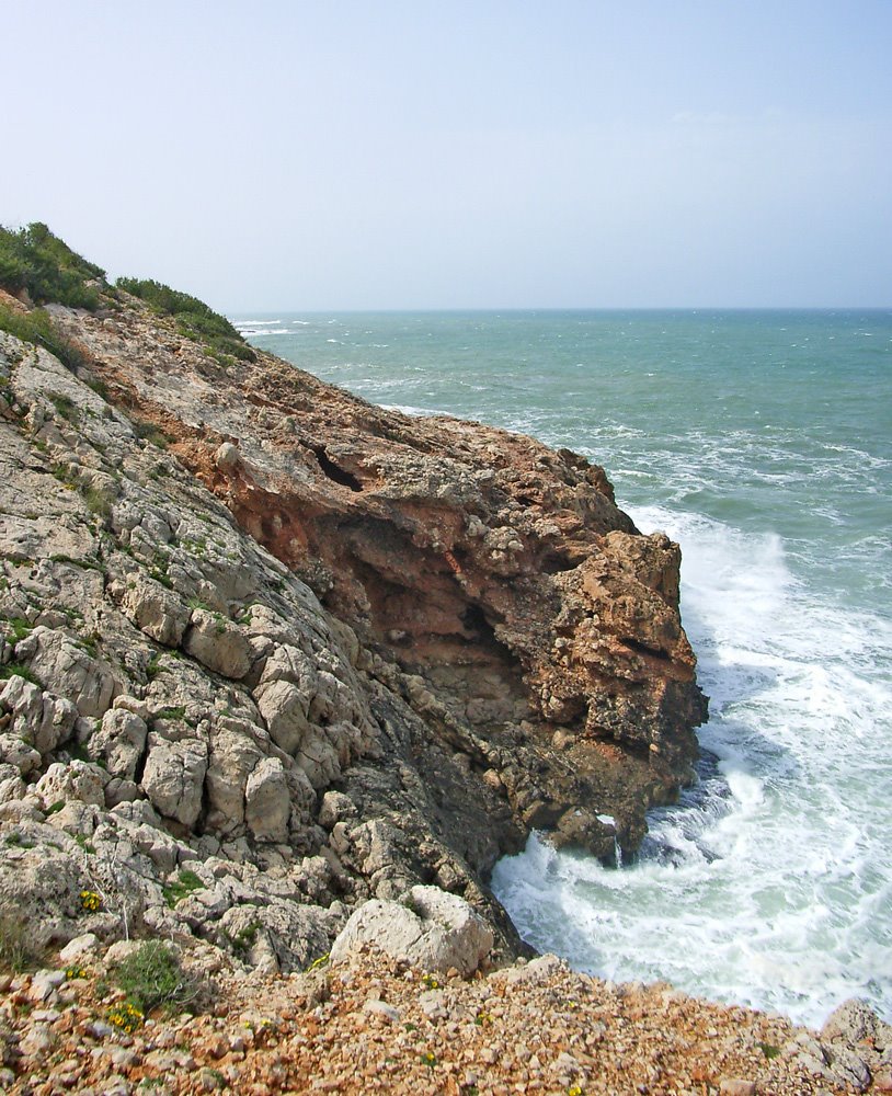 Walk to the Cova Tallada by Federico W.