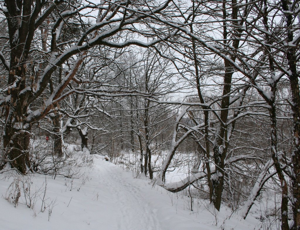 G. Ryazan', Ryazanskaya oblast', Russia by Andris Malygin