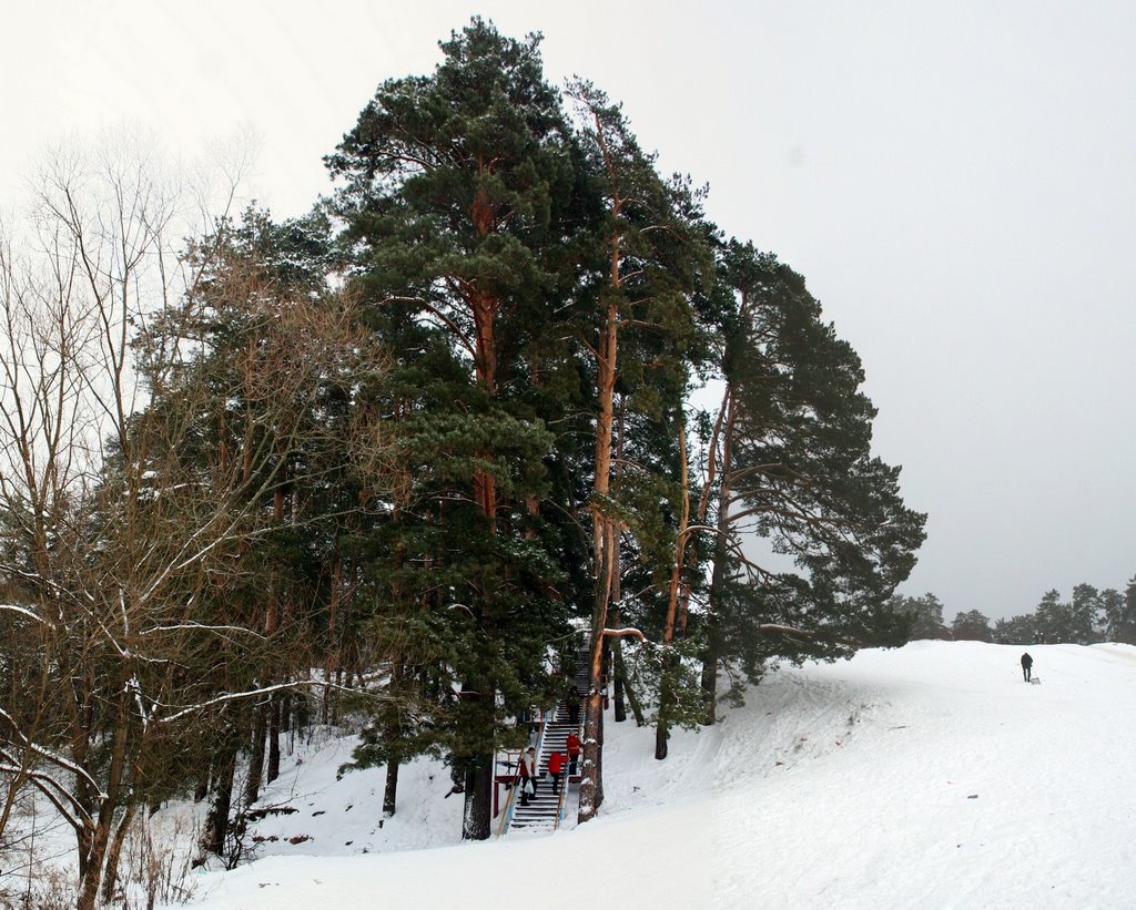 G. Ryazan', Ryazanskaya oblast', Russia by Andris Malygin