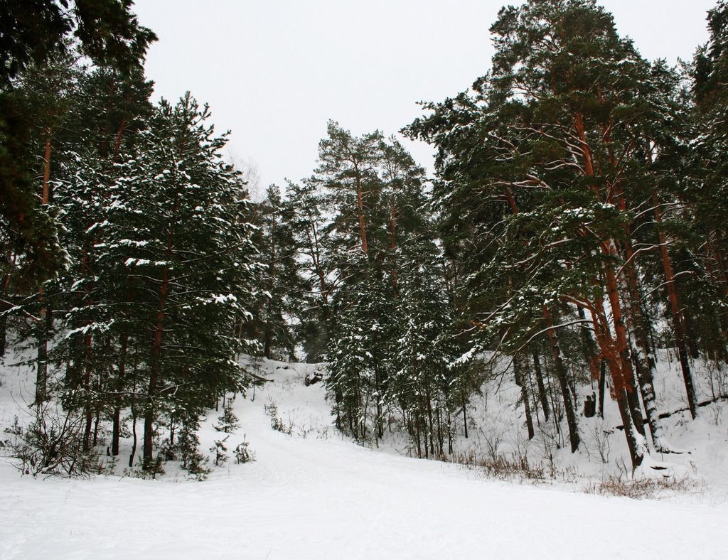 G. Ryazan', Ryazanskaya oblast', Russia by Andris Malygin