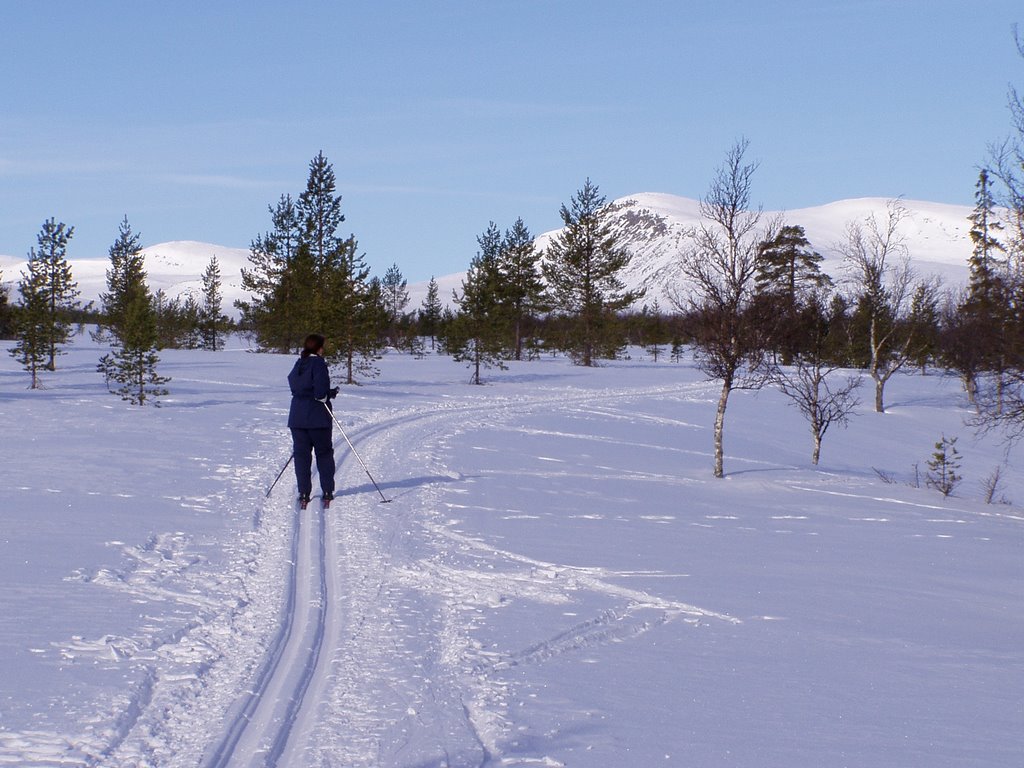 Älvdalen N, Sweden by kemue01