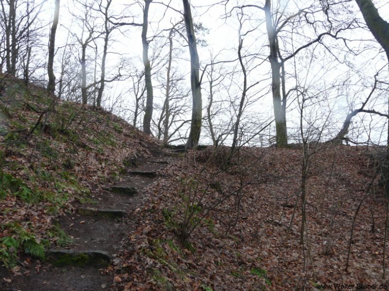 Podelwitz, Trampelpfad an der Mulde by Walter Stuber