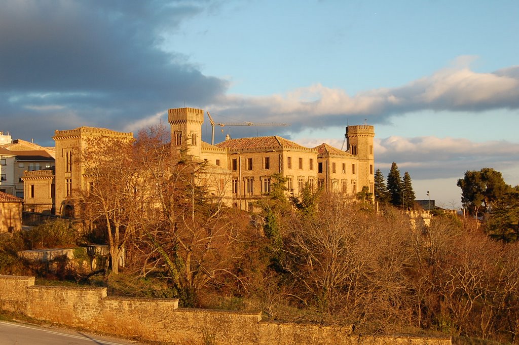 Palacio de la Vega (Dicastillo) by Pampluno