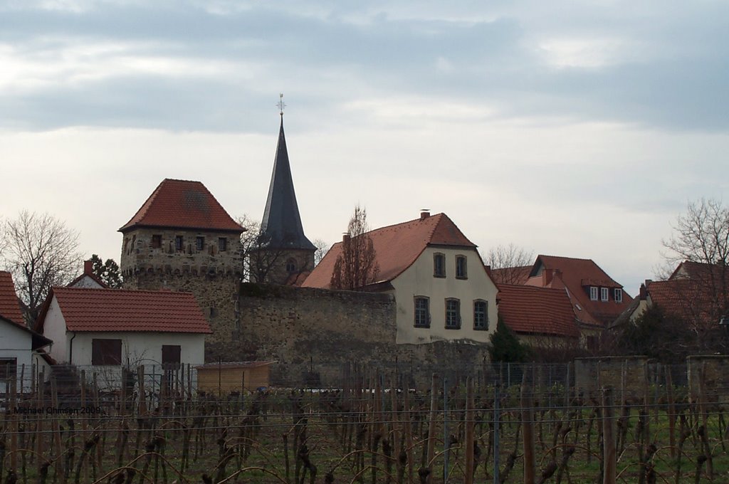 Blick auf die Altstadt von Freinsheim by Michael Ohmsen