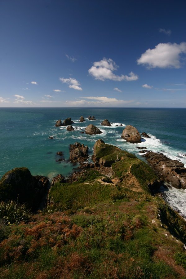 Nugget Point NZ by vinyljunkie