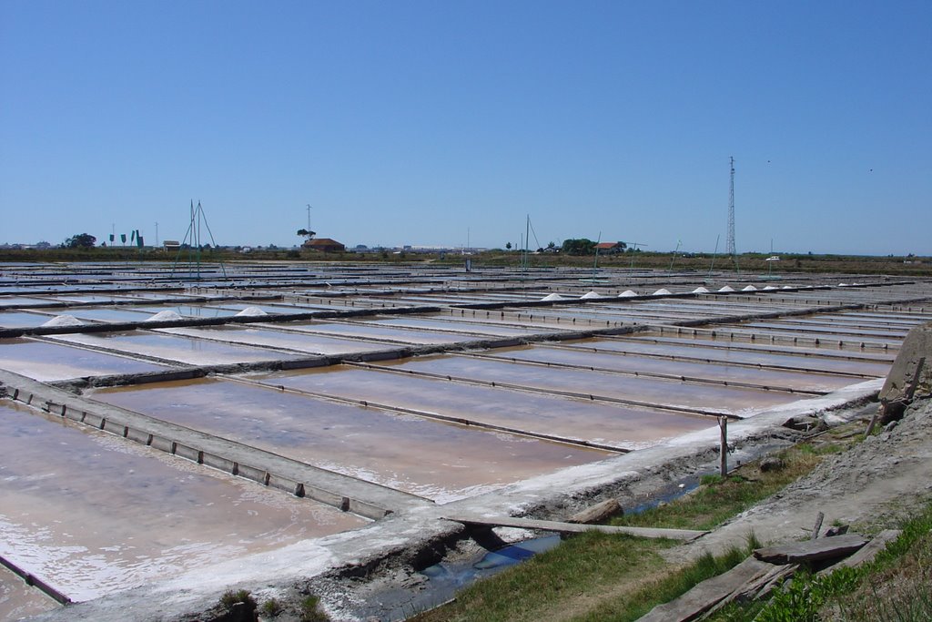 Salinas de Aveiro by baionense